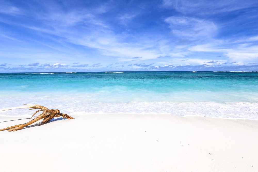 Bird Island Seychellen