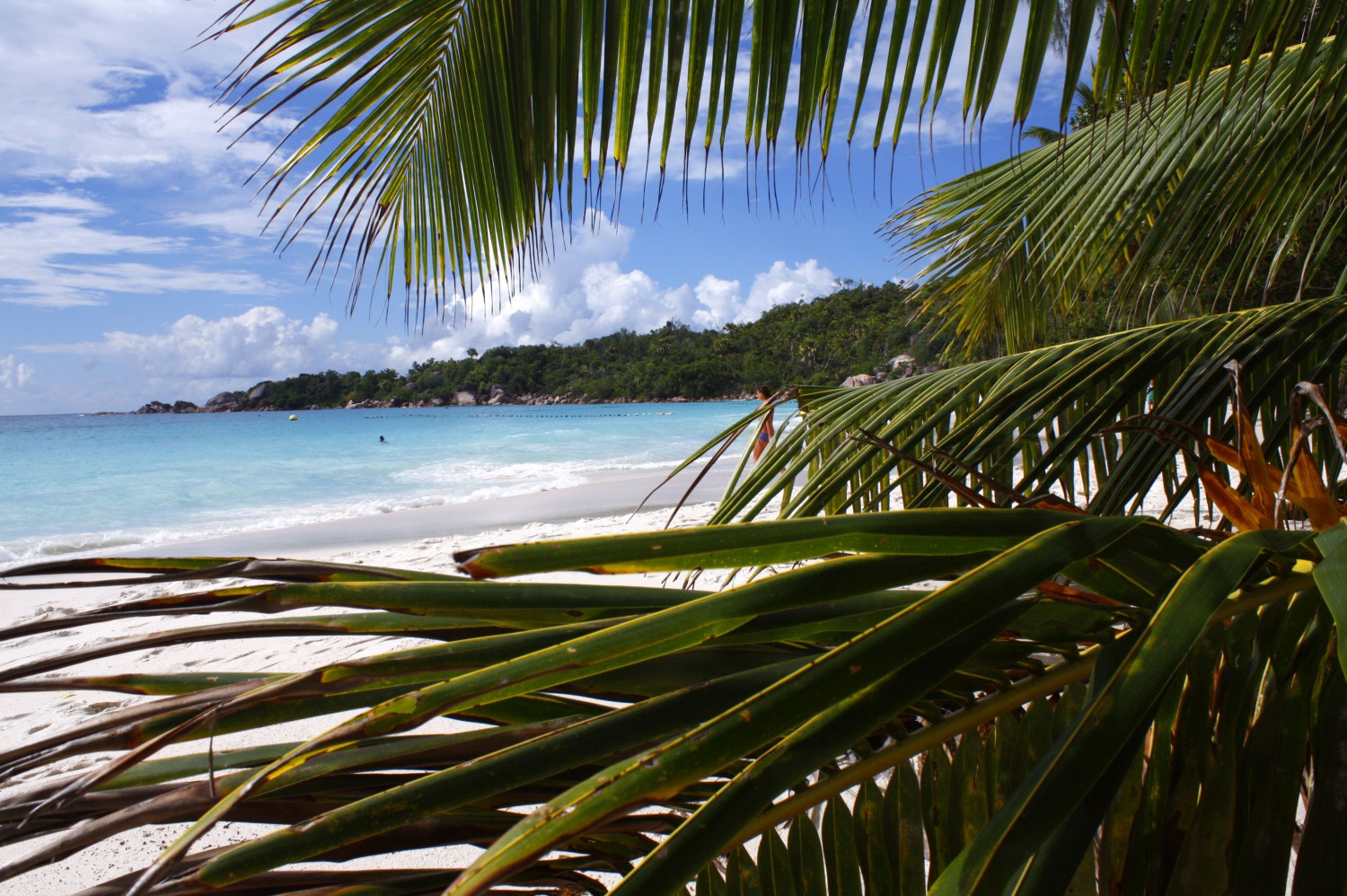 Seychellen_Anse_Lazio_3