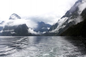 Milford Sound, Südinsel, Neuseeland, Fiordland, Natur