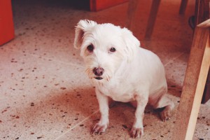 Airbnb Curaçao Art2Gether B&B2gether