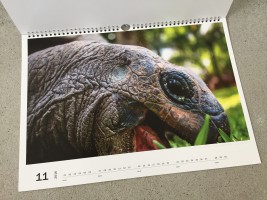 Seychellen Kalender