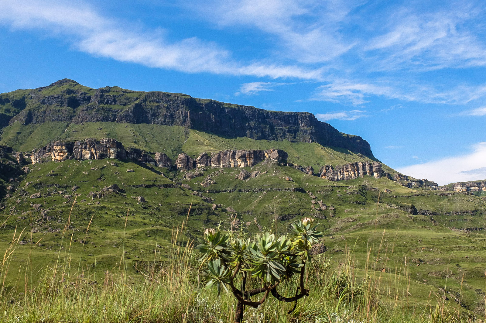 Drakensberge Südafrika Drakensberge Südafrika