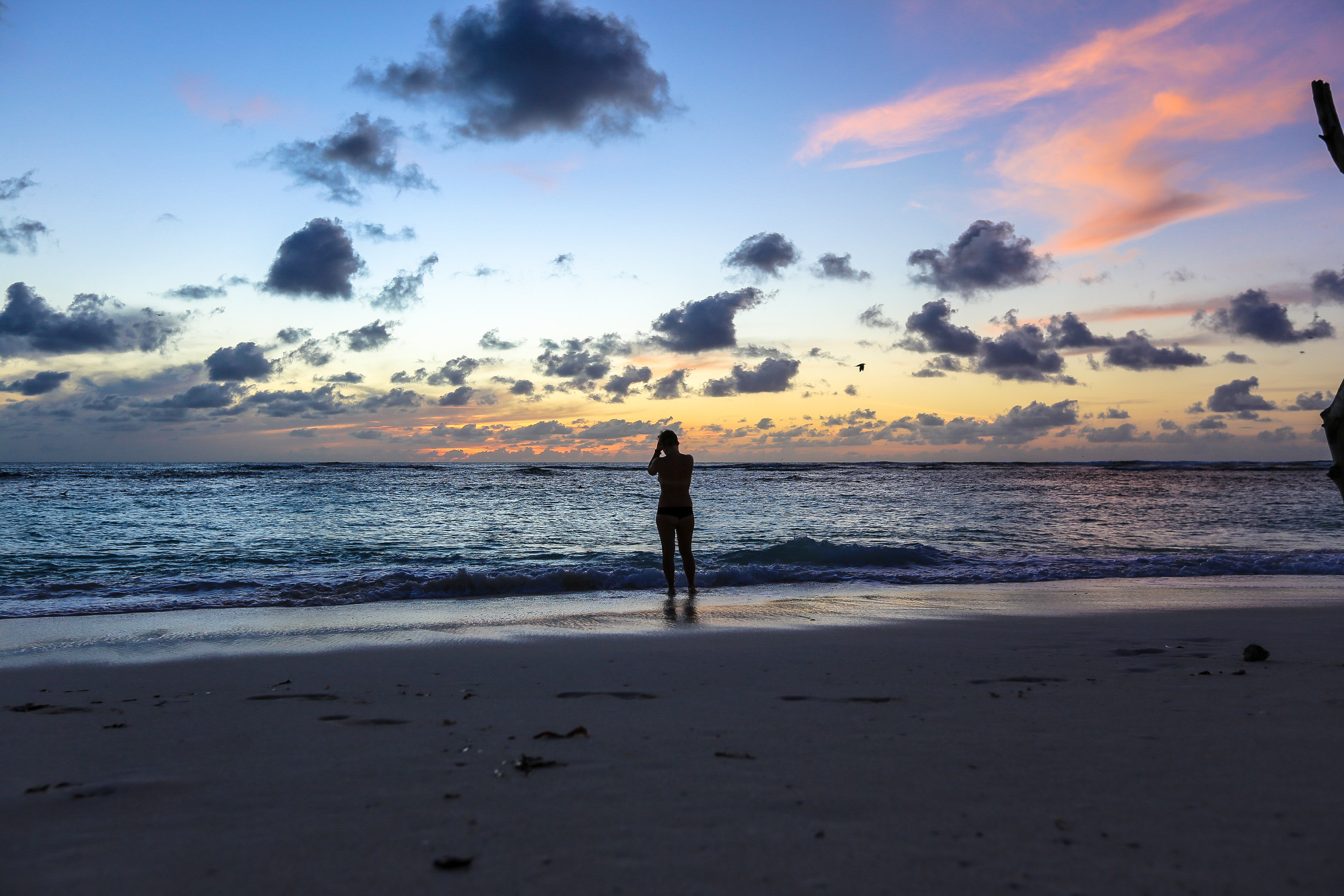Bird Island Seychelles