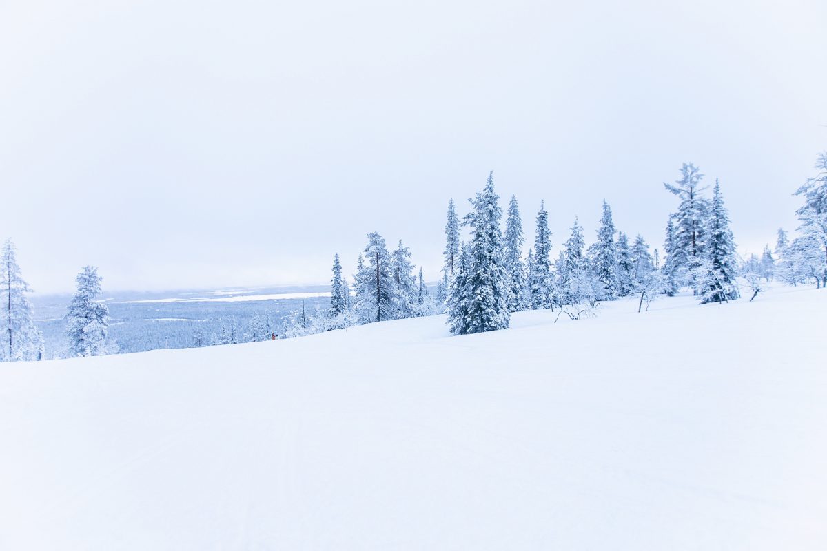 Levi, Lappland, Finnland, Snowboarden, Skifahren