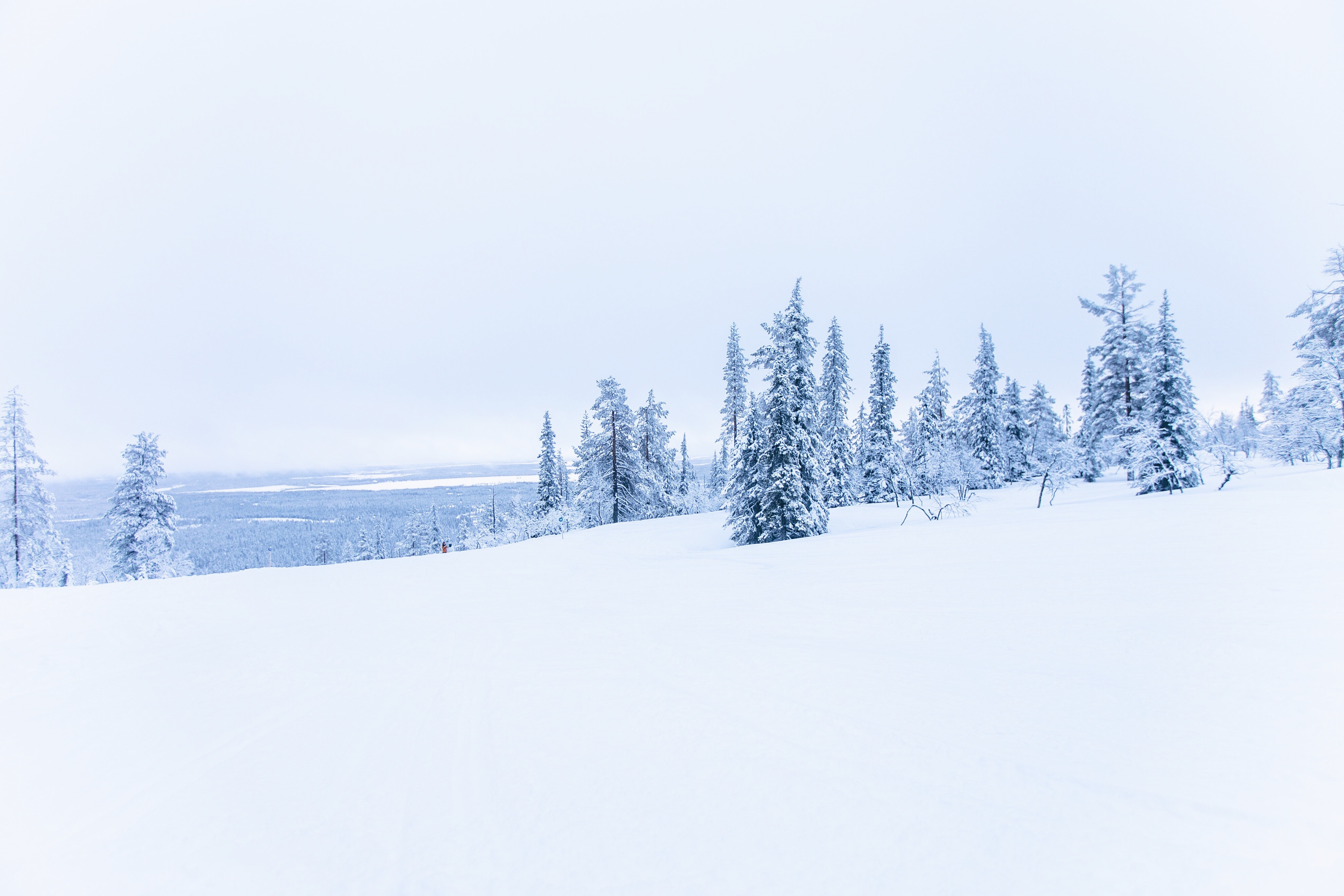 Levi, Lappland, Finnland, Snowboarden, Skifahren