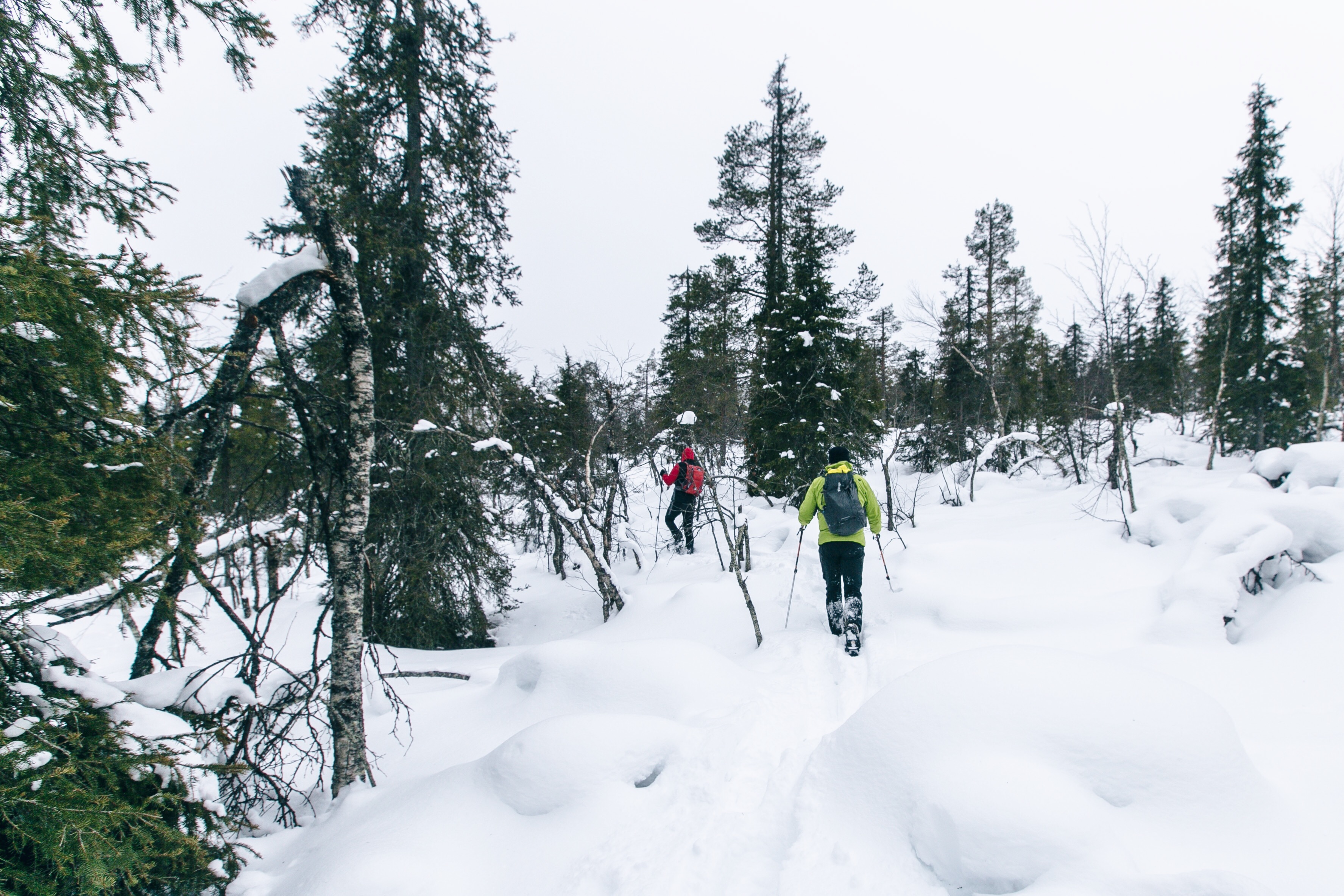 schneeschuhwandern in Levi, Lappland, Finnland