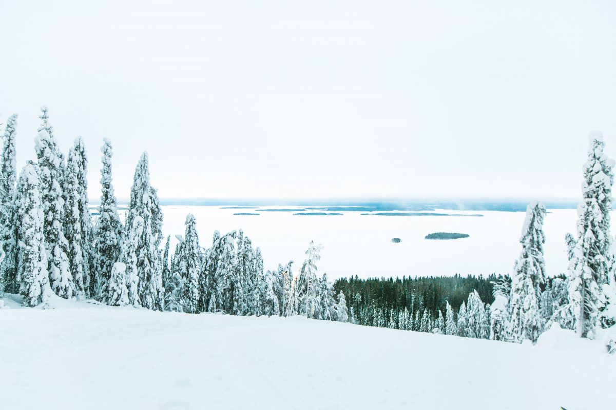 Koli nationalpark, finnland, Ukko-Koli, ski, snowboard