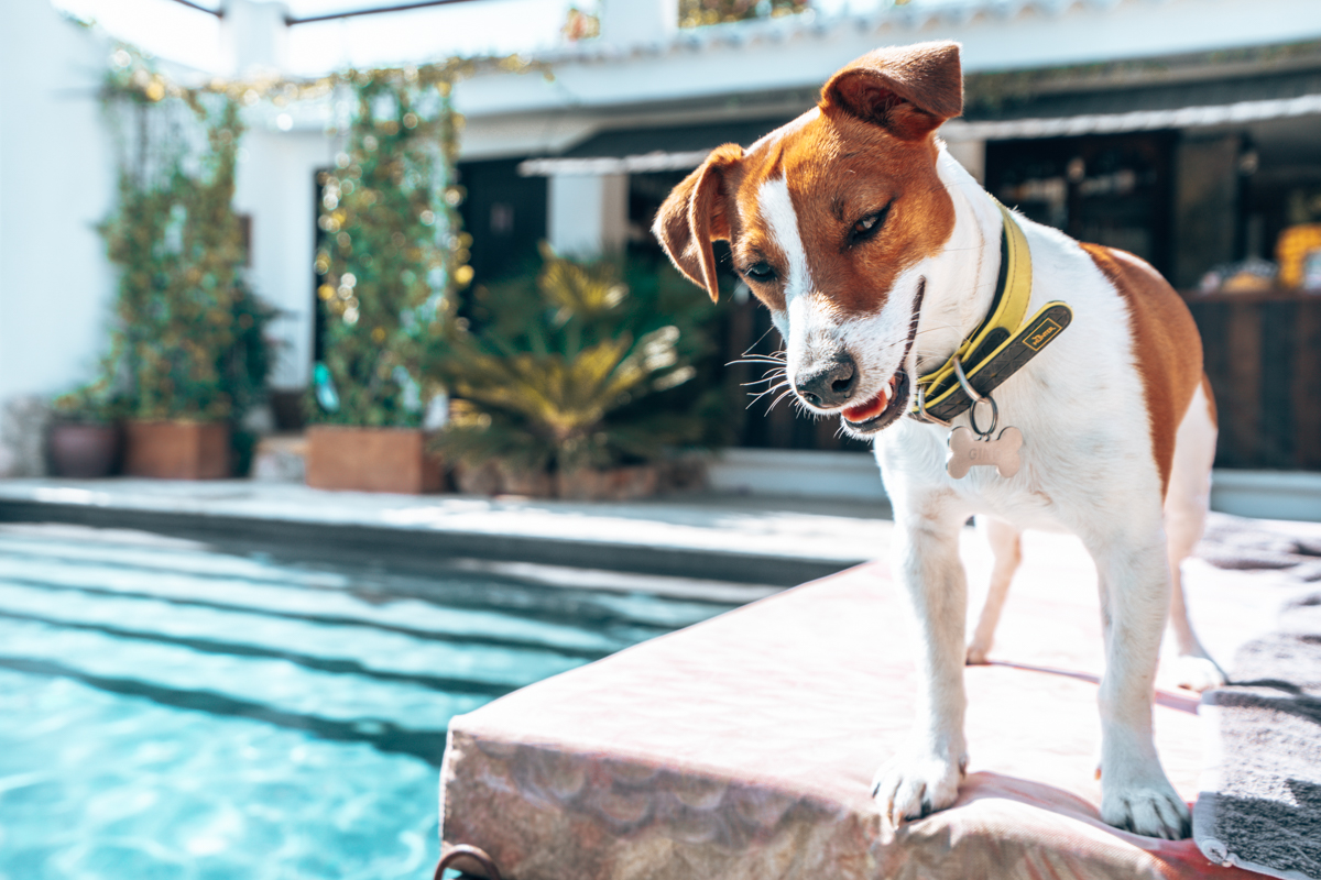 Legado Fincahotel Ibiza