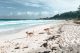 La Digue Wolkenweit, Tierschutz