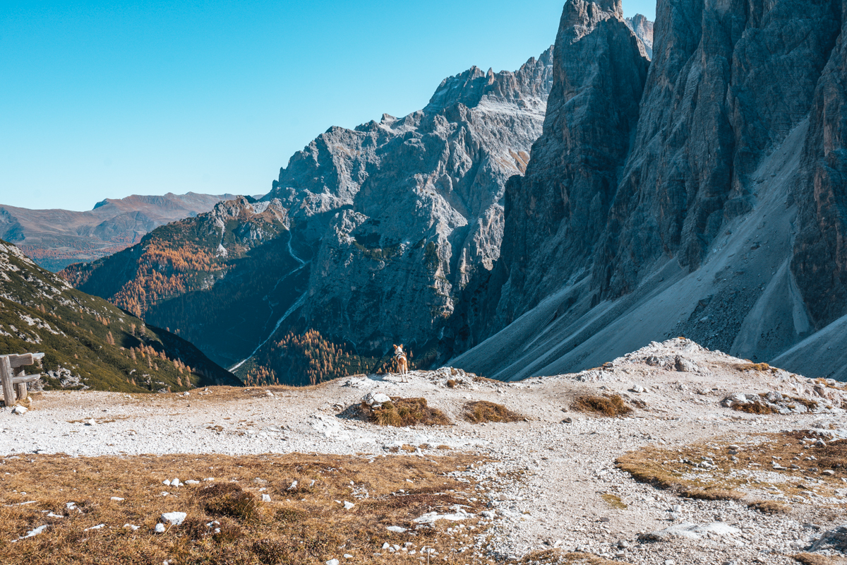 Drei Zinnen Wanderung Dolomiten, Tipps, Highlights, schönste Wanderung