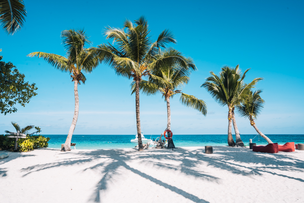 Seychellen Blog: Reiseplanung, Insider-Tipps, Highlights