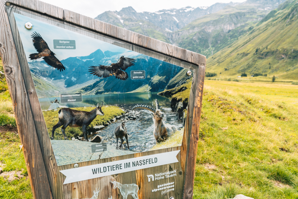 Nationalpark Hohe Tauern, Wandern, Gasteiner Tal, Sportgastein, Österreich