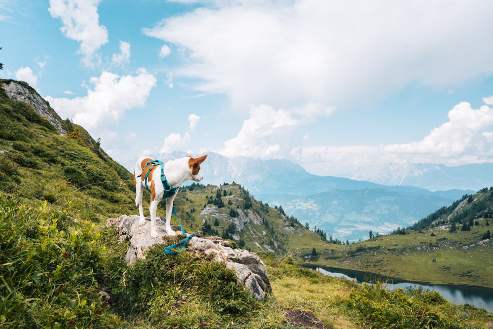 Paarseen Wanderung, Gasteinertal, Wandern, Österreich