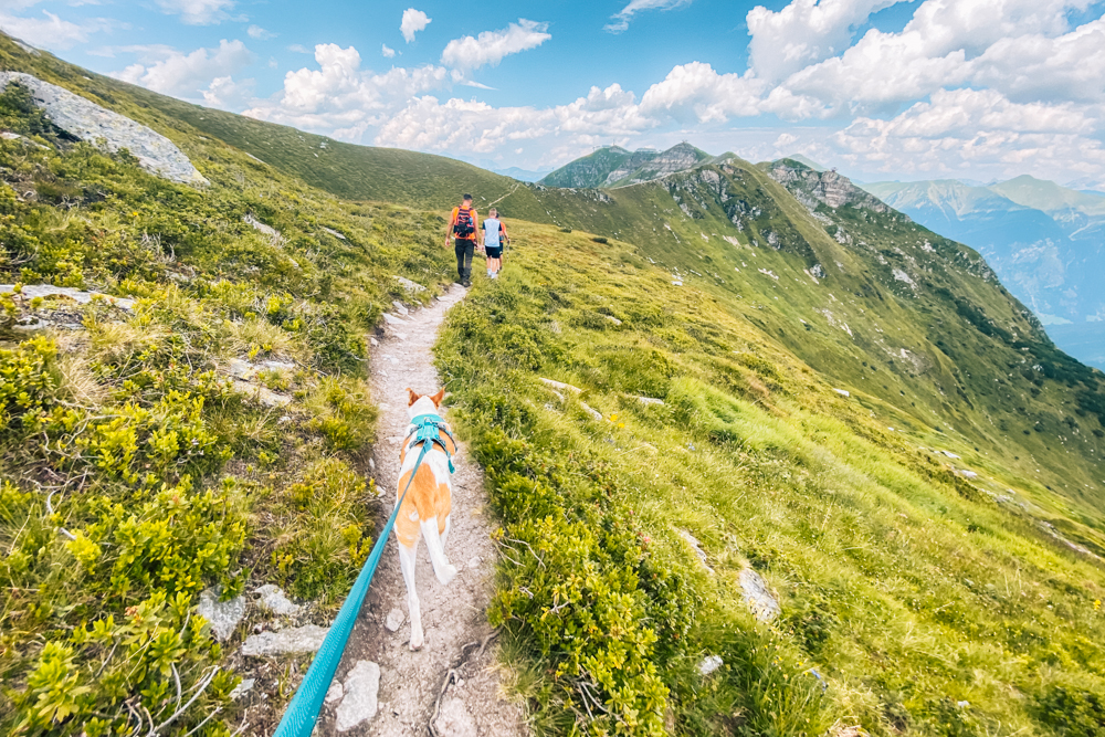 Wanderung zum Stubnerkogel, Tischkogel, Gasteinertal wandern, Österreich
