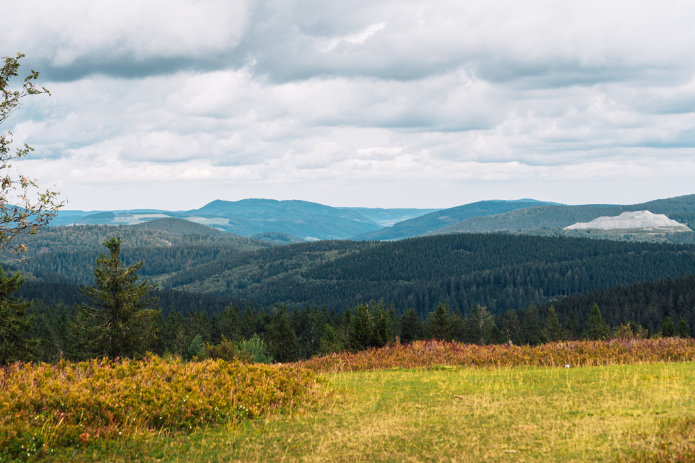 Kahler Asten Steig, Wandern im Sauerland am Rothaarsteig, Golddorf Route Westfeld, Rothaarsteig-Spur