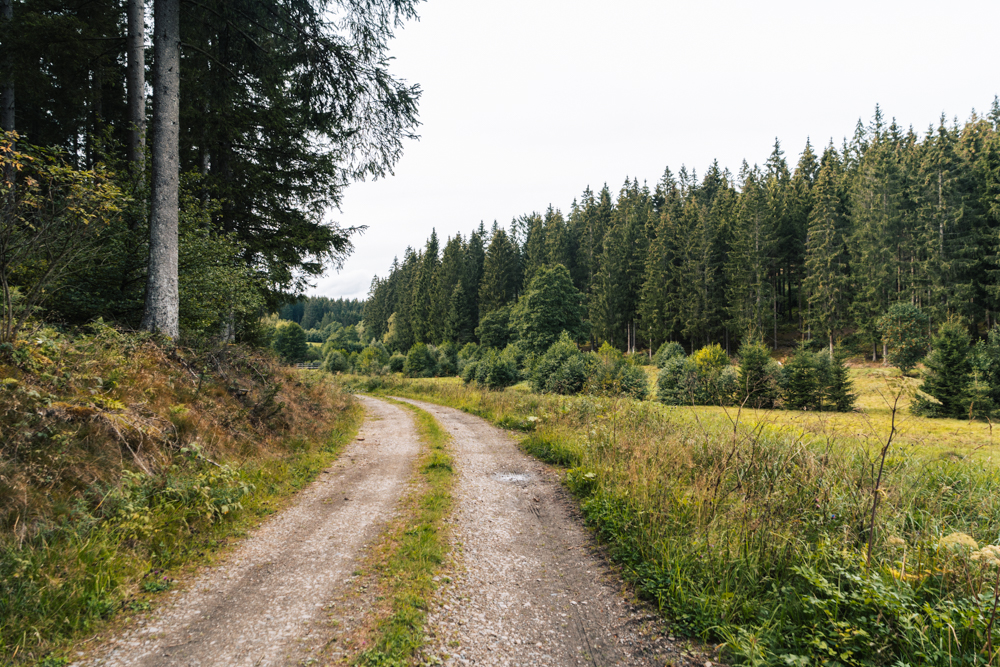 schwarzbachtal wandern sauerland, Rothaarsteig, Sauerland Seelenort