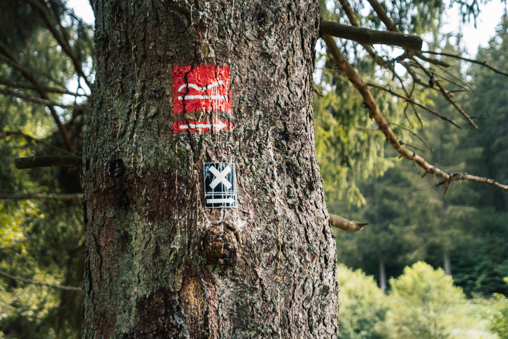 schwarzbachtal wandern sauerland, Rothaarsteig, Sauerland Seelenort