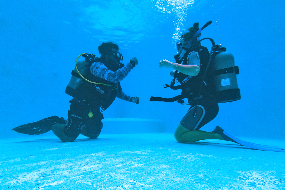 open water diver Silhouette, tauchen Seychellen
