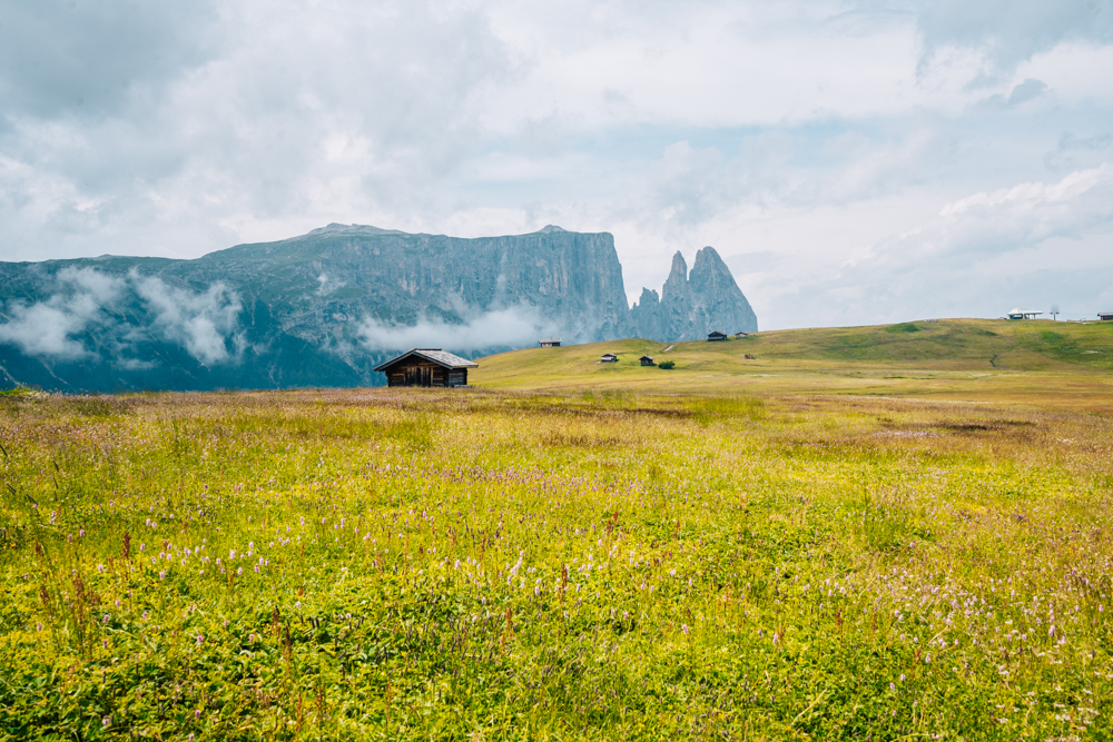 Seiser Alm Panoramaweg, Seiser Alm schönste Wanderung, ab Compatsch, Tipps