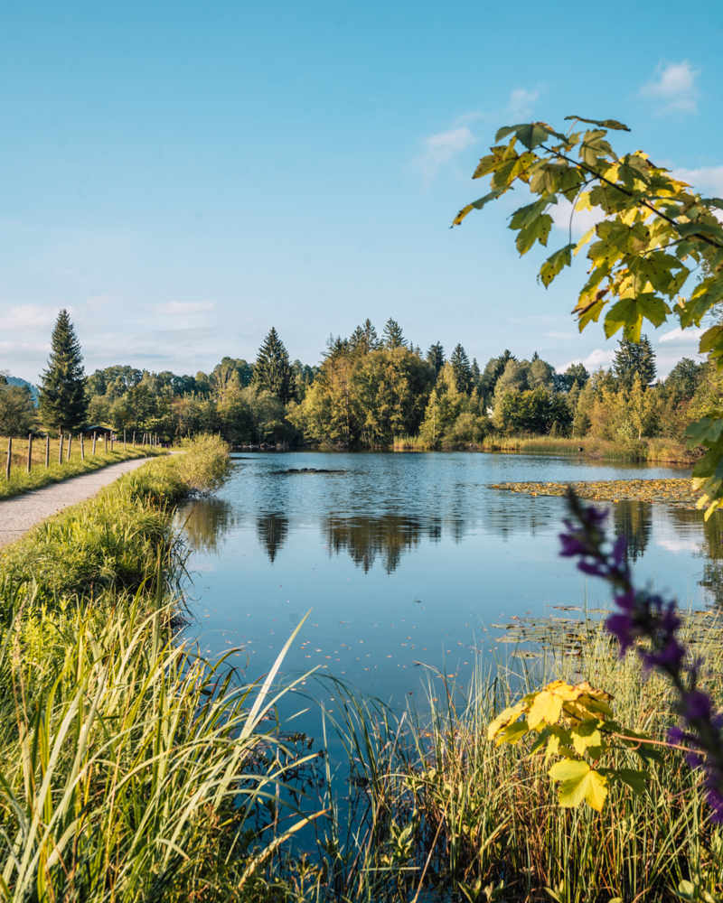 Moorweiher Wanderung, Oberstdorf