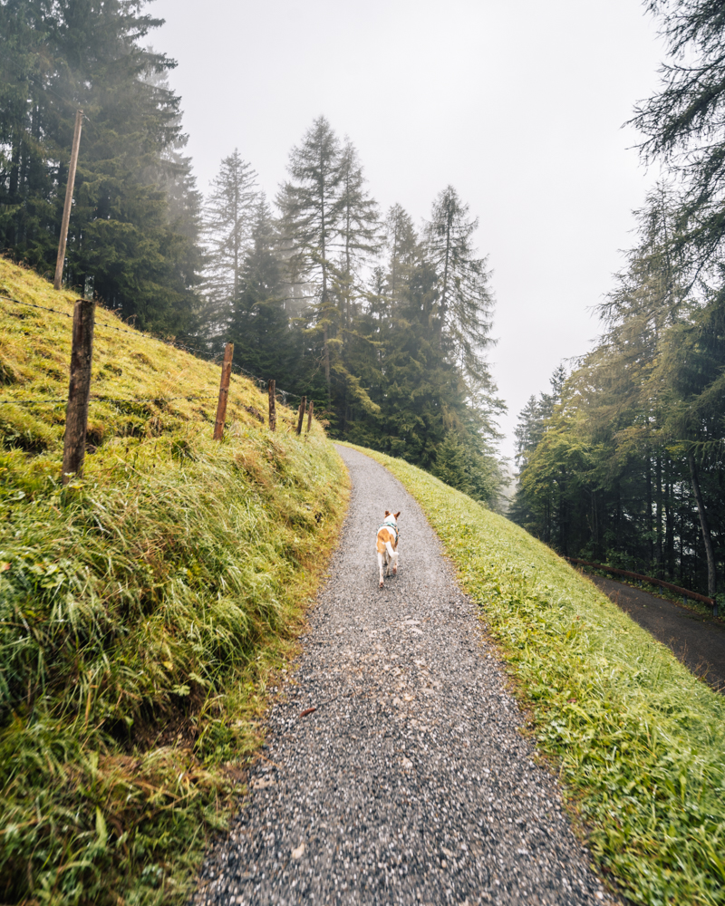 Wallrafweg Wanderung Oberstdorf, Wandern