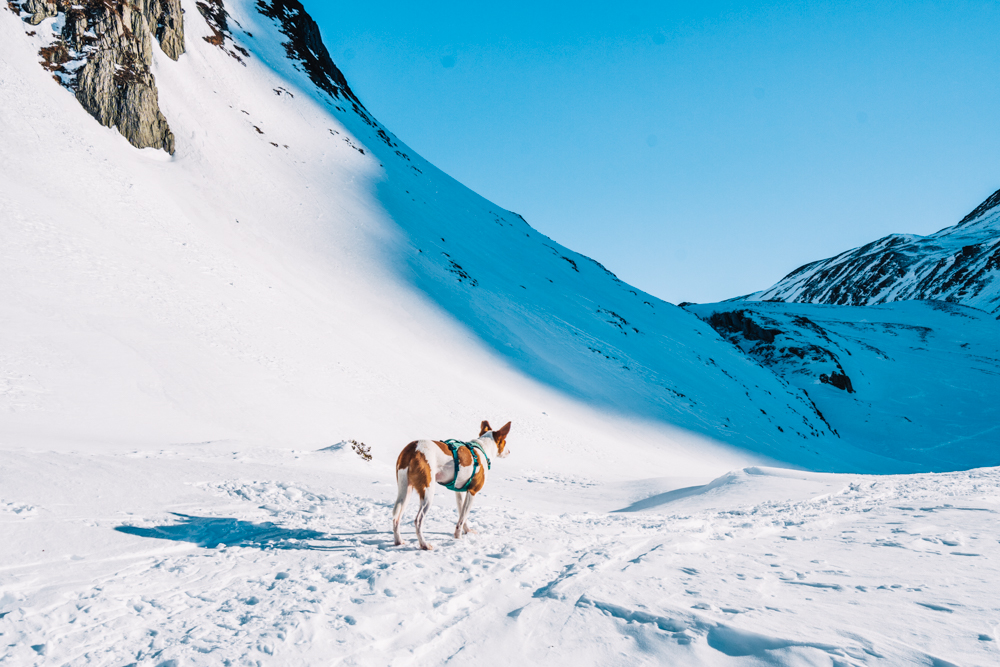 Winterwandern Sand in Taufers und Ahrntal Winterwanderung Klammlsee Knuttental, Rein in Taufers