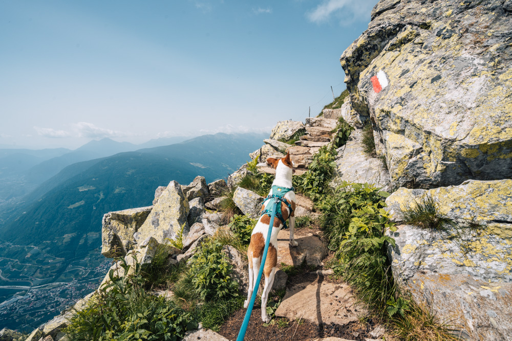 Gipfeltour zur Mutspitze, Wanderung