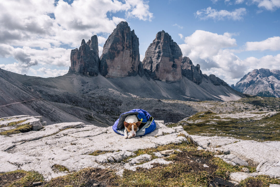 Hundeausrüstung beim Wandern, Hundeschlafsack wandern