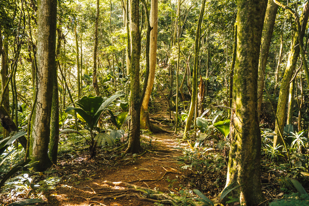 Constance Ephelia Resort Wandern