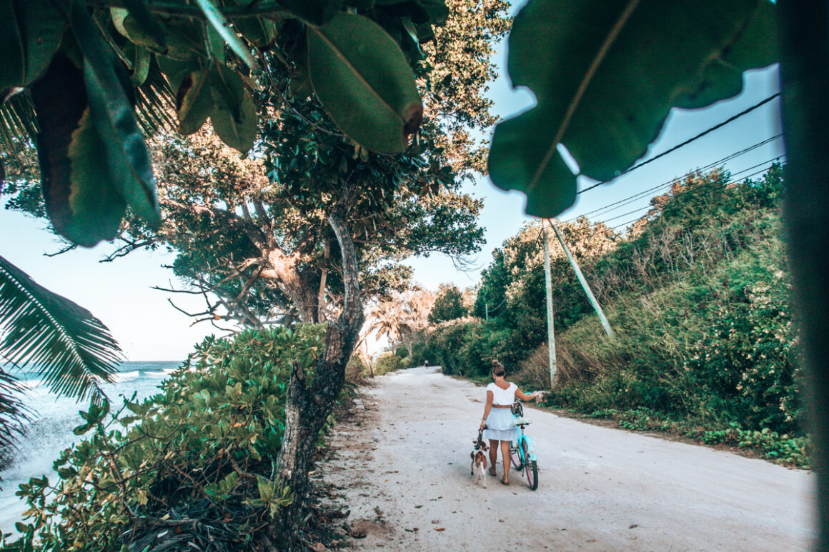 Seychellen Blog: Reiseplanung, Insider-Tipps, Highlights