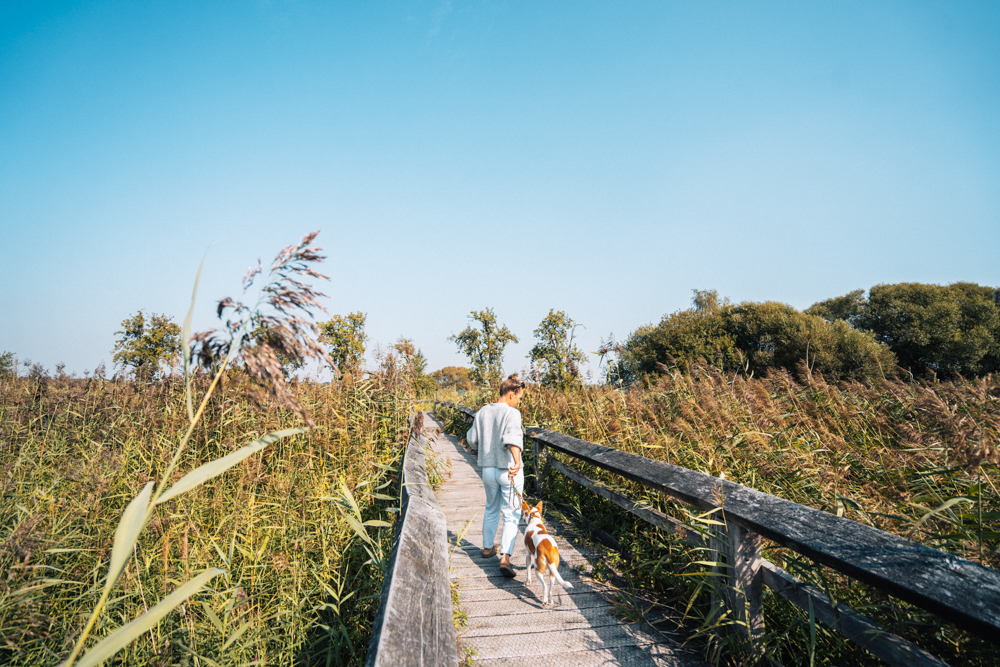 Rieselfelder Münster, Sehenswürdigkeiten Münster