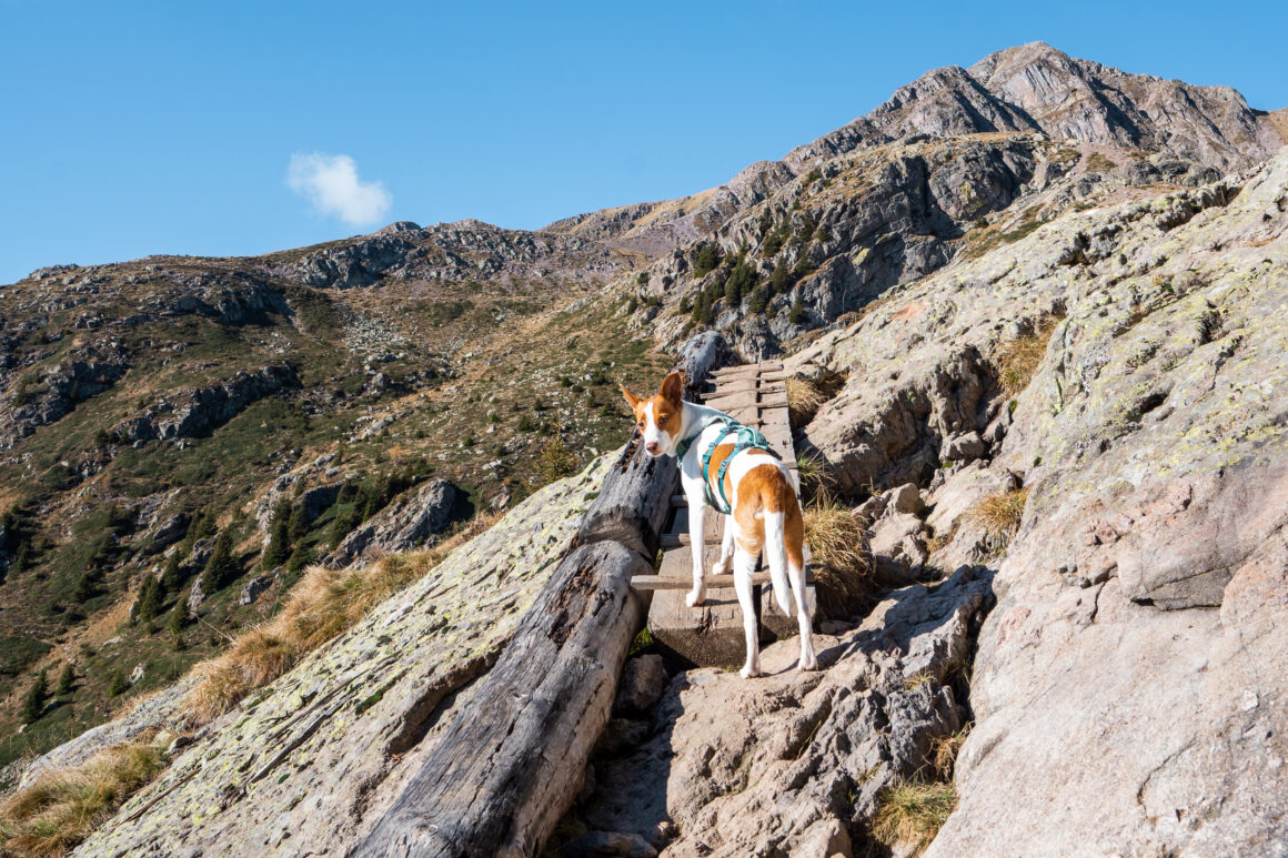 laugensee wanderung ab Gampenpass, Südtirol