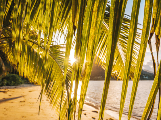 Holistic Coaching: Deine Reise zu dir selbst | Tiefe Klarheit & echte Veränderung