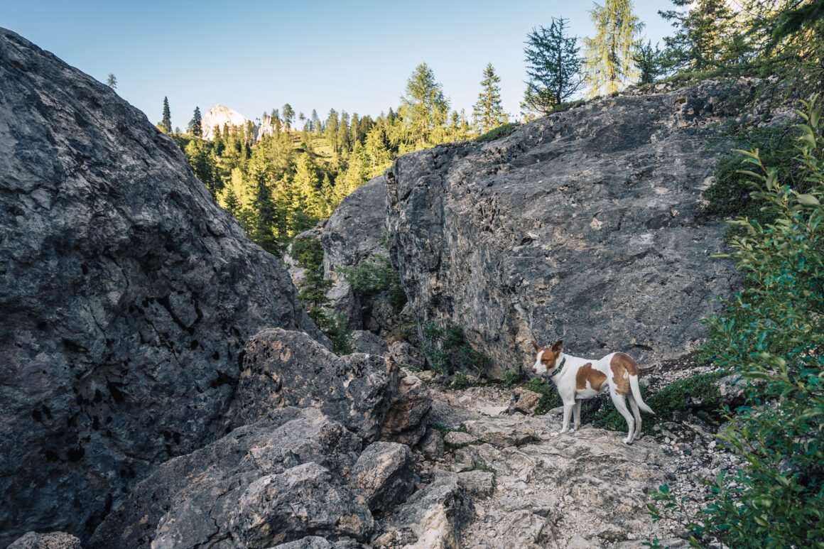 Felslabyrinth Latemar, Eggental