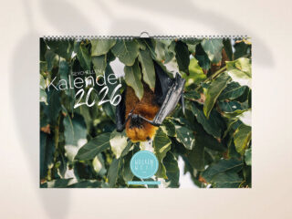 Seychellen Kalender 2026